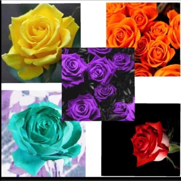 🌹COMMENTS FULL SEE NEW LISTING🌹 - Picture 3 of 8